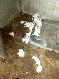 Couchages chiens refusés